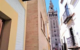 ¡En Frente De La Giralda-Catedral!